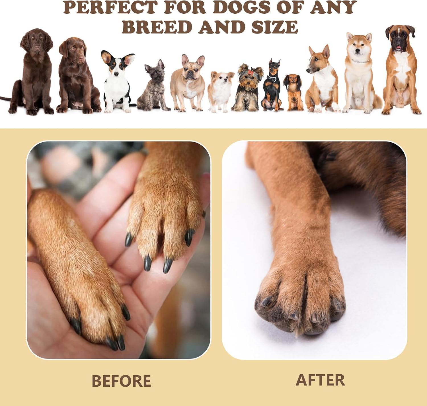 Dog nail scraper