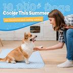Pet cooling pad