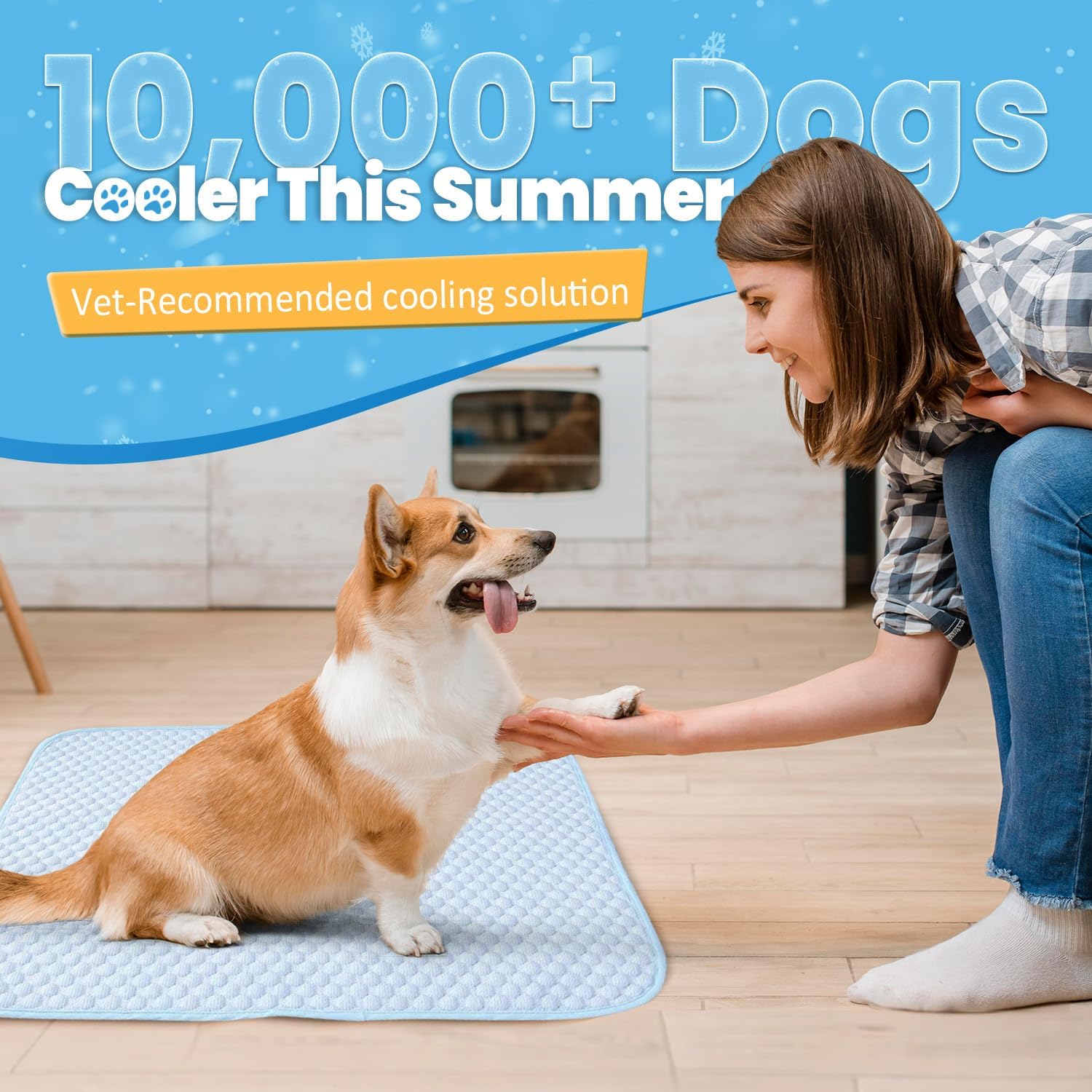 Pet cooling pad