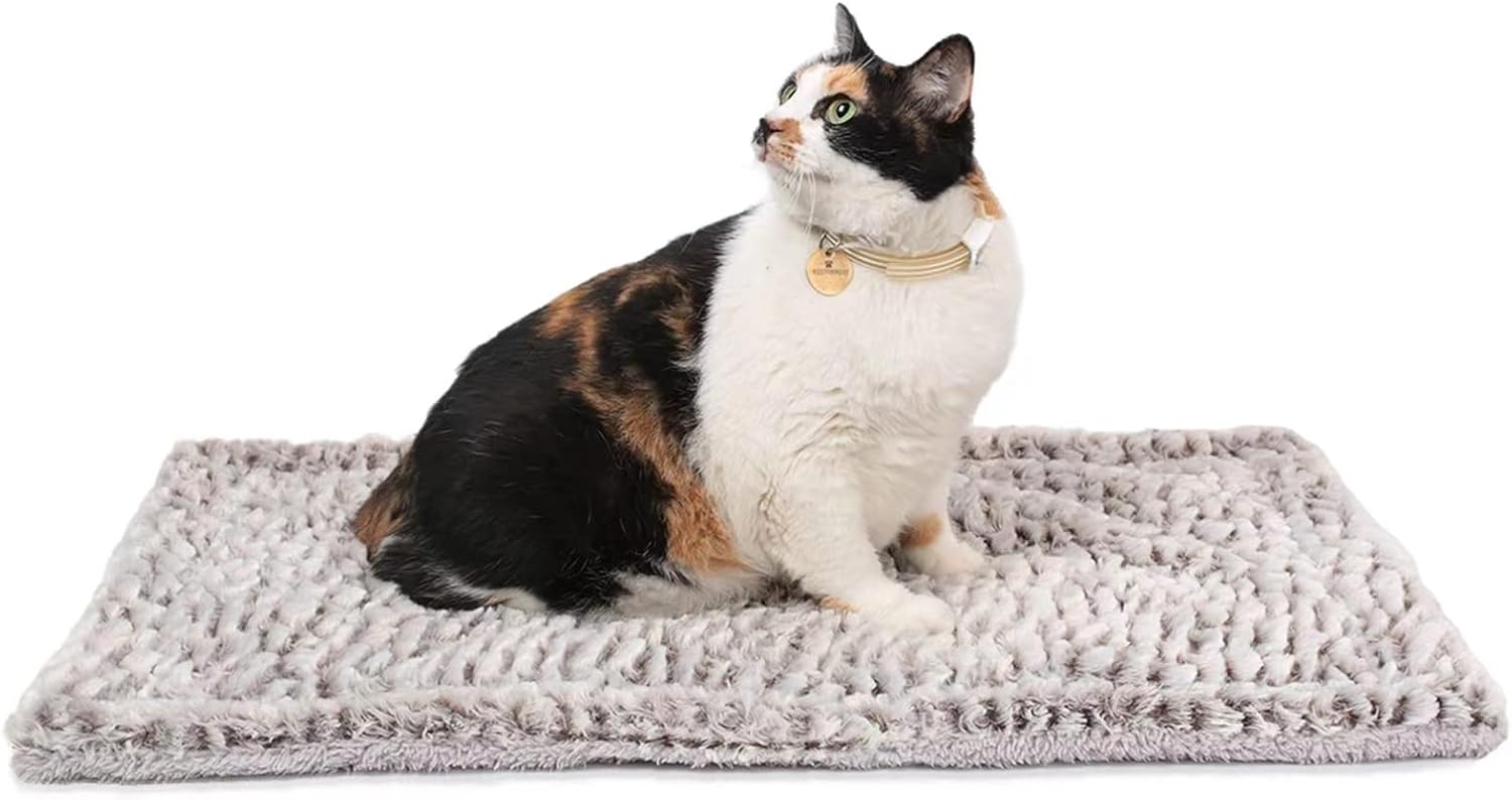 Self heating cat mat