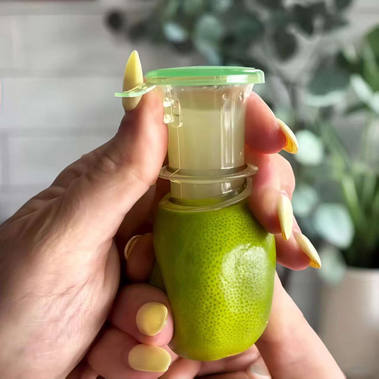 Citrus juicer hand