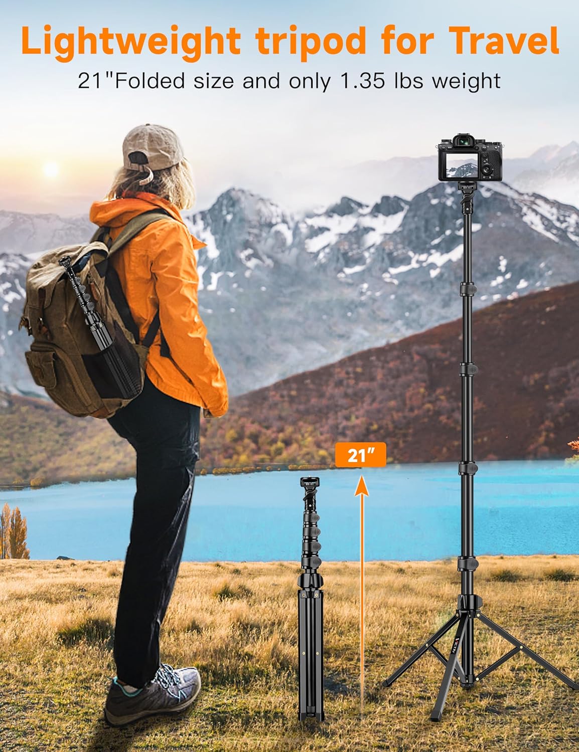 Live streaming stand